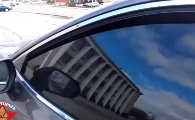 Traffic Stop Escalates Into Heated Exchange Over Identification and Vehicle Documentation