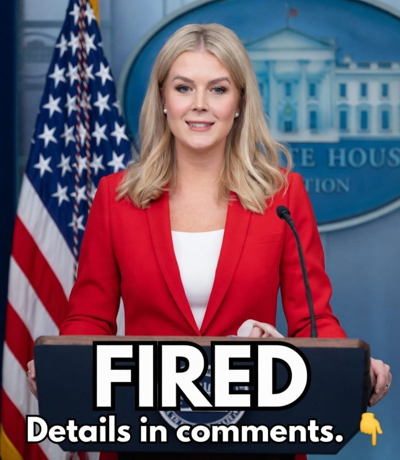 FEMA Boss Fired After Remarks To