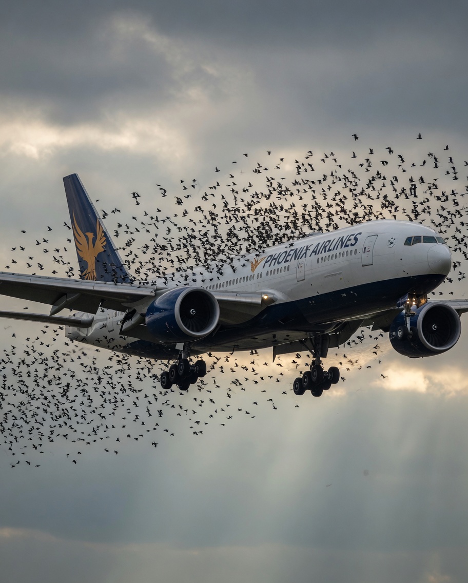The Mind Blowing Reason This Terrified Pilot